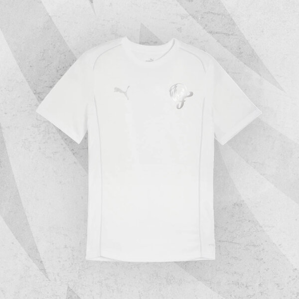 NÜRNBERG FALCONS T-SHIRT WEISS