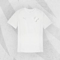 NÜRNBERG FALCONS T-SHIRT WEISS