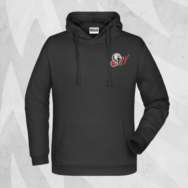 NÜRNBERG FALCONS e.V. HOODIE