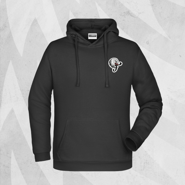 HOODIE 10 JAHRE