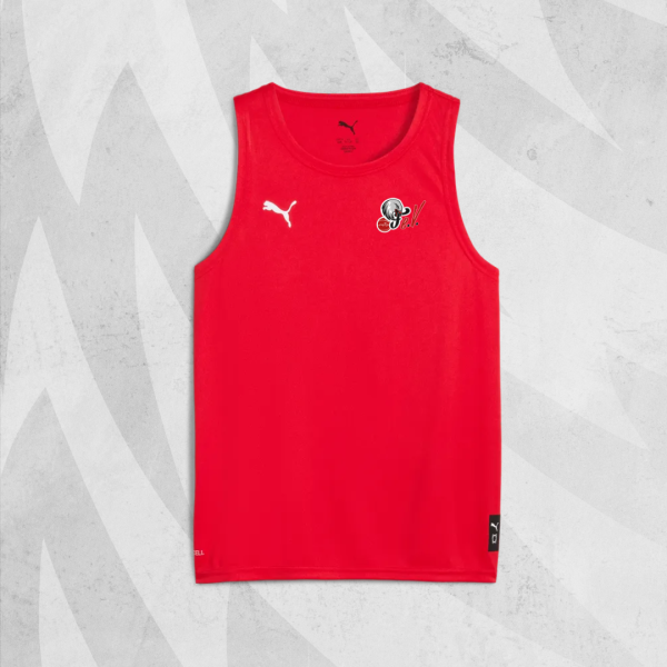 NÜRNBERG FALCONS e.V. TRIKOT ROT KINDER